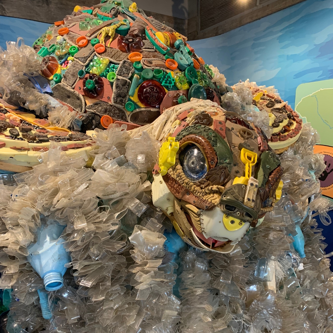 You'll find this amazing sculpture of a sea turtle—made entirely of garbage taken from our world's oceans—at #ColumbiaSC’s Riverbanks Zoo. On this #EarthDay, take a minute to learn more about the steps the Zoo is taking to preserve and protect our planet: riverbanks.org/conservation/