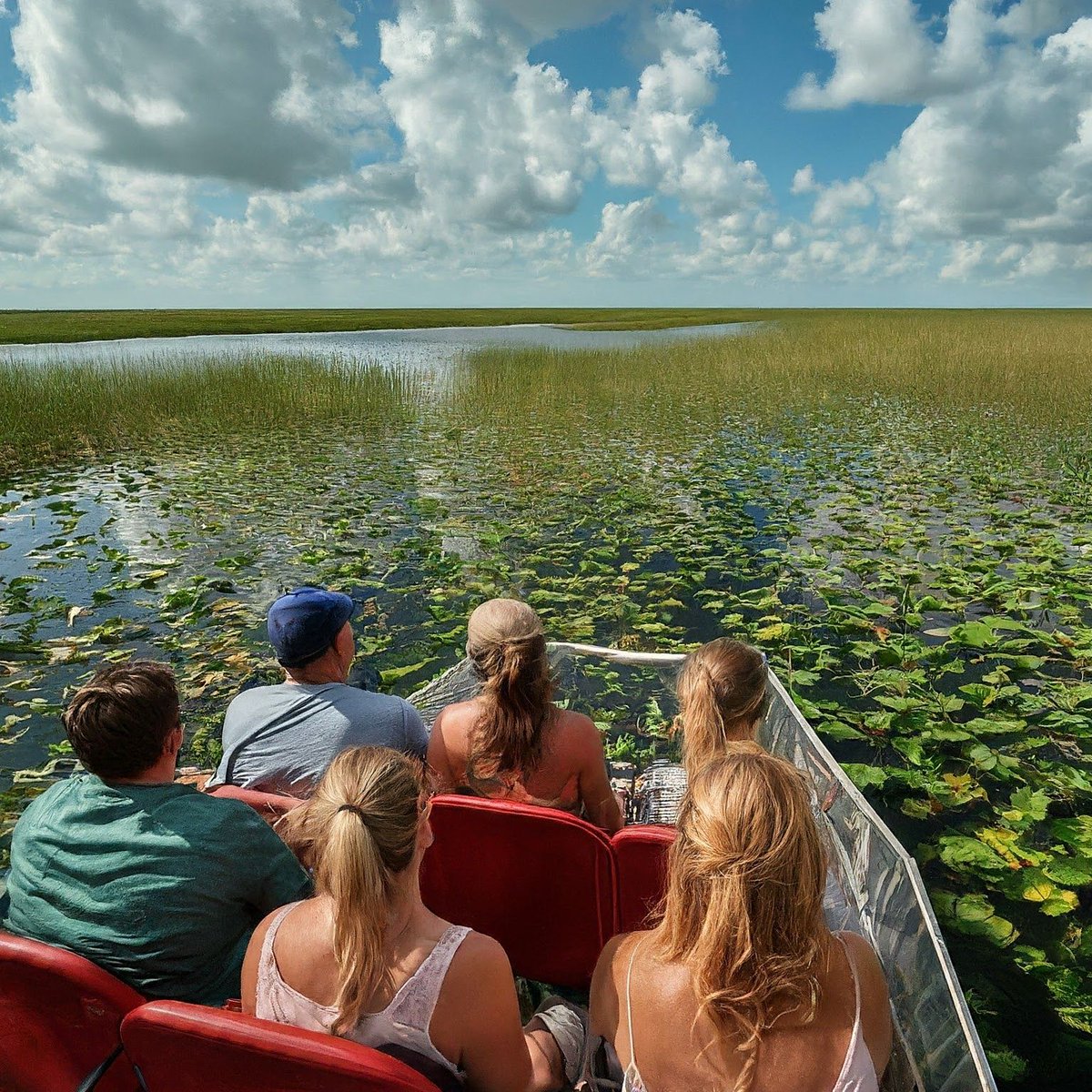 The view from inside the airboat in the Everglades is truly breathtaking. The vast expanse of wetlands, the lush green vegetation, and the diverse wildlife all come together to create a truly unique and unforgettable experience. #everglades
#evergladeadventure ‍♀️️
#florida