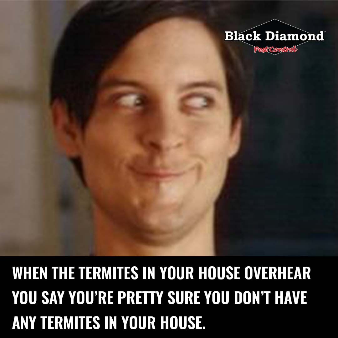 1 in 4 homes has termites. Call 877-DEAD-BUG before your number is up! 😱 
.
.
.
#877DeadBug #PestControl #Termites
