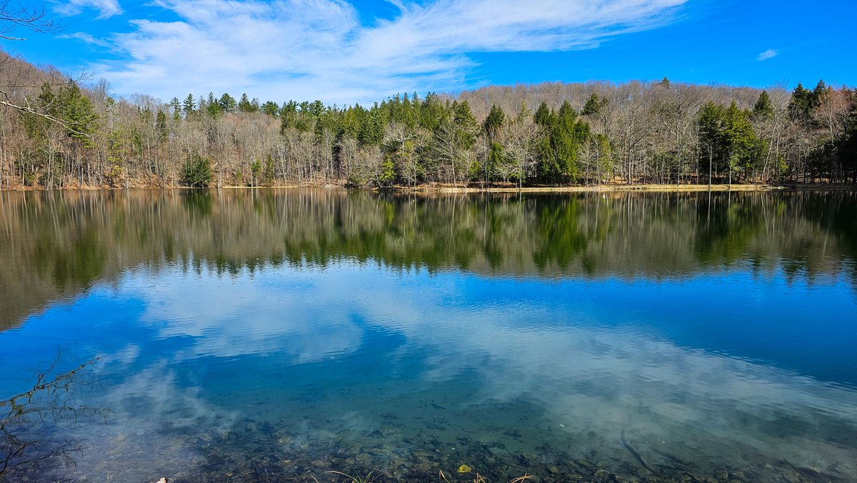 PhotosbyNanci's tweet image. Weathersfield Weekly Blog April 22 edition includes:
-WFLD Garden Club 4/23
-Beauty and the Beast Jr. 4/26, 4/27
-Villagers reopens 4/27
-Selectboard meets tonight 6:30 PM
-Theatre, Concerts and more 
News You Can Use
Read all About It: photosbynanci.blogspot.com/2024/04/weathe…
#weathersfieldvt