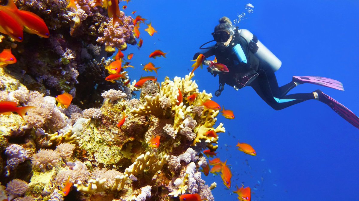 FrontMarineSci's tweet photo. 🌎Happy #EarthDay2024! As we marvel at our planet's astonishing beauty, let's dive deep into its heart - the vast oceans.🌊 At @FrontMarineSci we're committed to unravelling the ocean's mysteries &amp; safeguarding it for future generations. Join us to #PreserveAndDiscover! 🐋🔬 https://t.co/AQepimDkHN