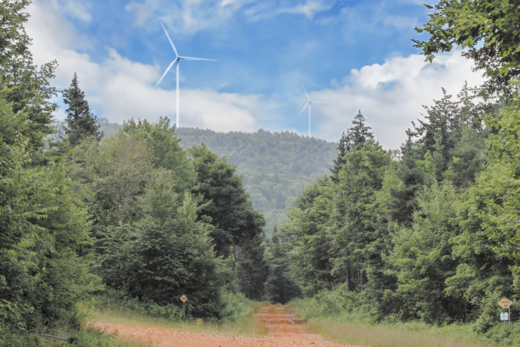 This #EarthDay, we are proud to share we have applied to construct a new wind farm in New Brunswick – Brighton Mountain Wind Farm. A greener tomorrow starts with the work we do today. Learn more at brightonwind.com