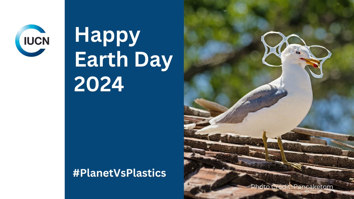 @IUCN Supports The Planet. On this year’s #EarthDay, get a chance to explore how we are enabling a blueprint to zero plastic waste for all. Read this blueprint story from 2023 iucn.org/story/202303/b… It’s #PlanetVsPlastics #EarthDay2024 #PlasticsTreaty #INC4 #EarthDayEveryDay