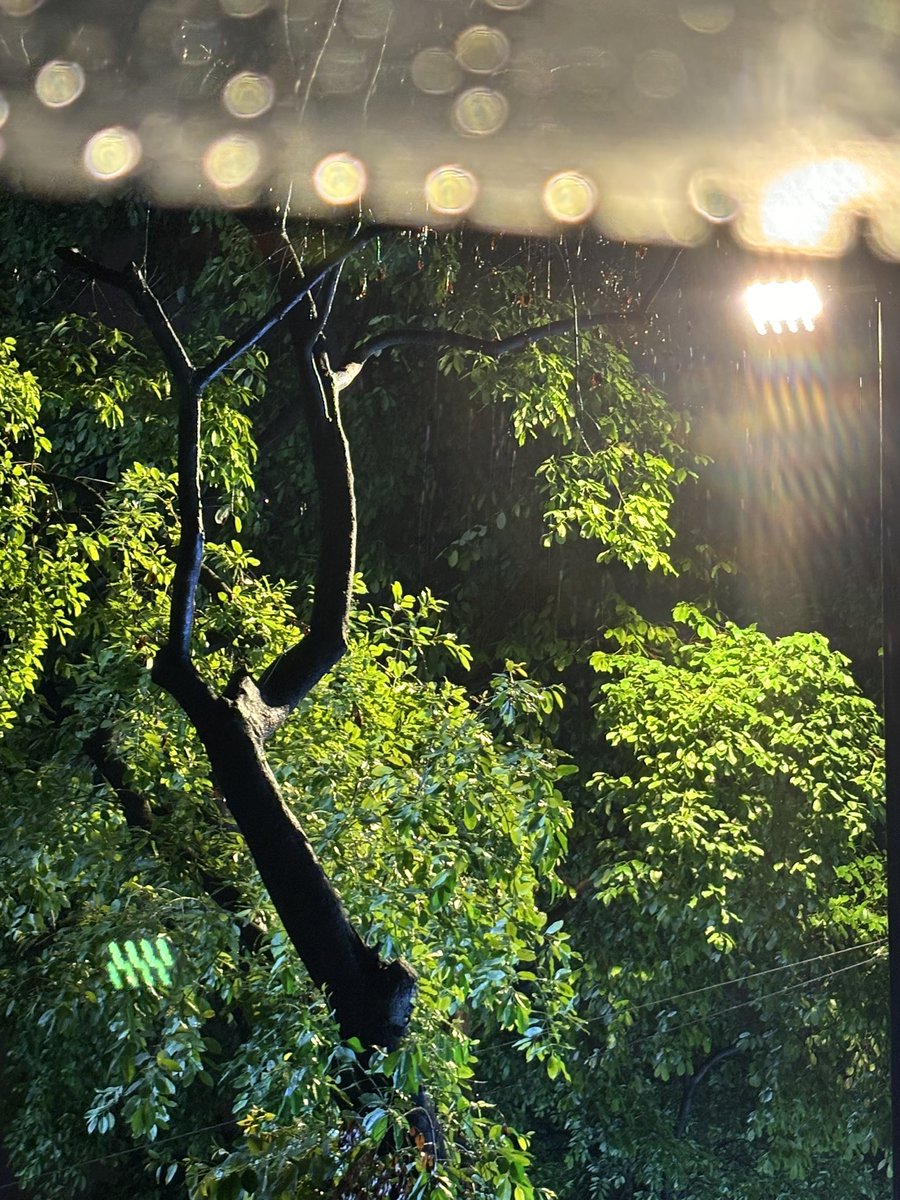 chuiguanderuoji's tweet photo. 为何不慢一点呢🤔 https://t.co/6GbcF6B7Cq