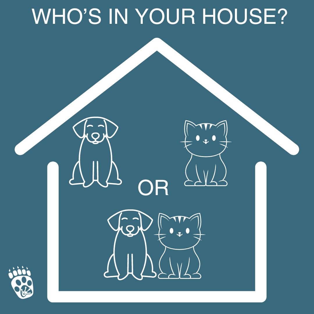 Friday Fun!
Comment 🐶 if you are a dog only household
Comment 😺 if you are cat only household
Comment 🐶😺 if you have both! 
#dogowner #catowner #friday