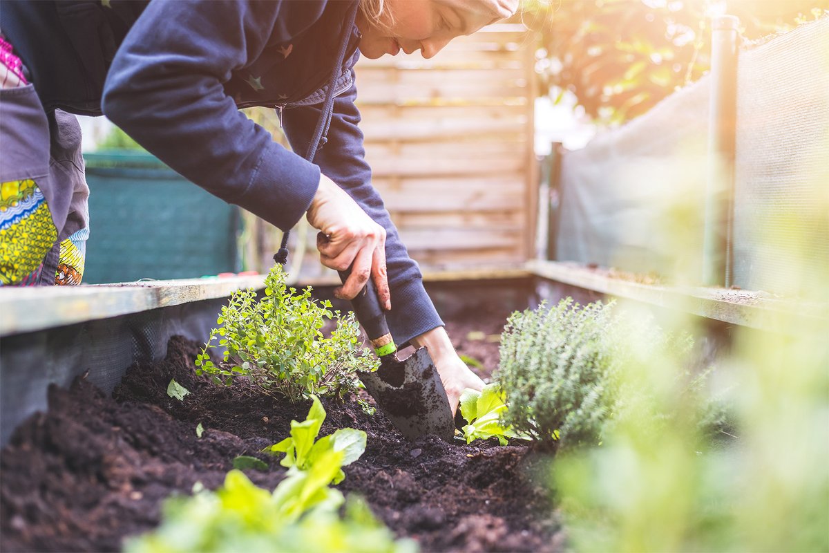 In recognition of Earth Day, Ventera will be teaming up with the Reston Community Group for their annual Earth Day Community Clean-Up outing.

Together we can make a difference! 🌍 🌱

#EarthDay #ProtectOurPlanet #CommunityOutreach