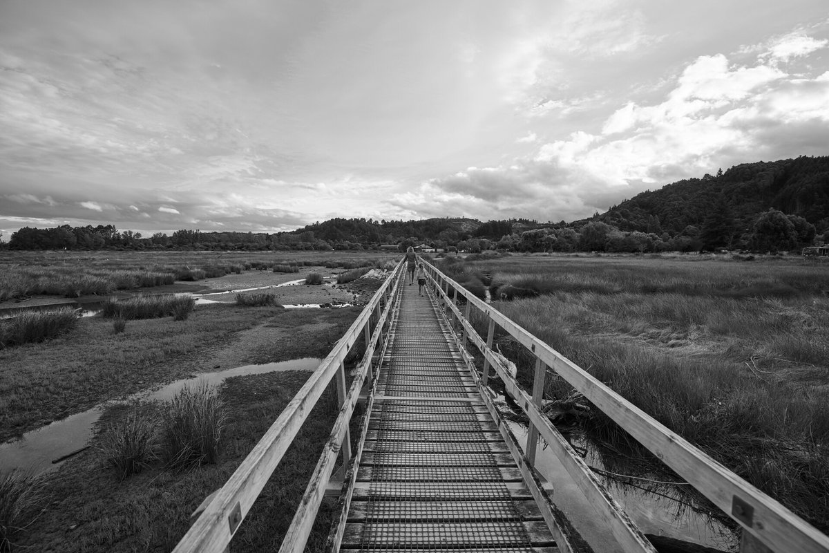 FranzLehner9's tweet photo. Abel Tasman https://t.co/yRXDO6beiF