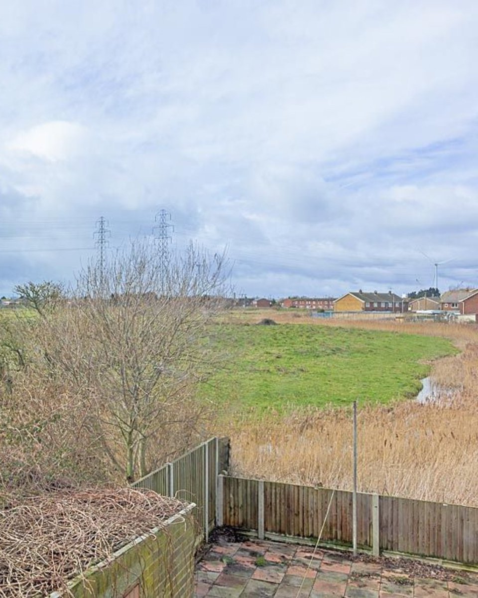 Network Auctions tweet media