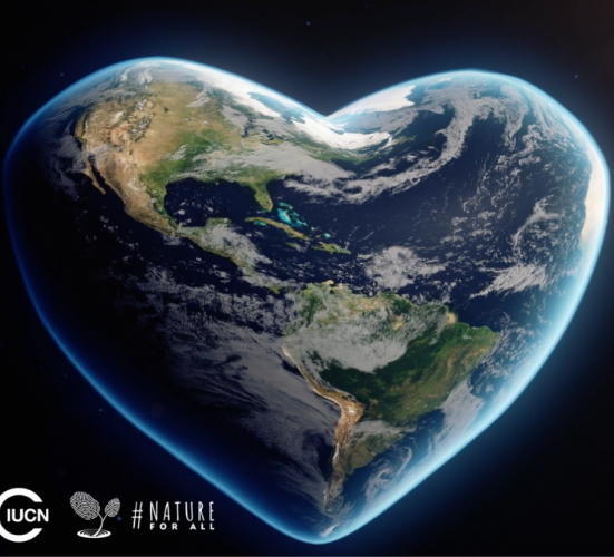 natureforall's tweet image. Happy #EarthDay2024! How are you showing your love of nature today? 
#NatureForAll