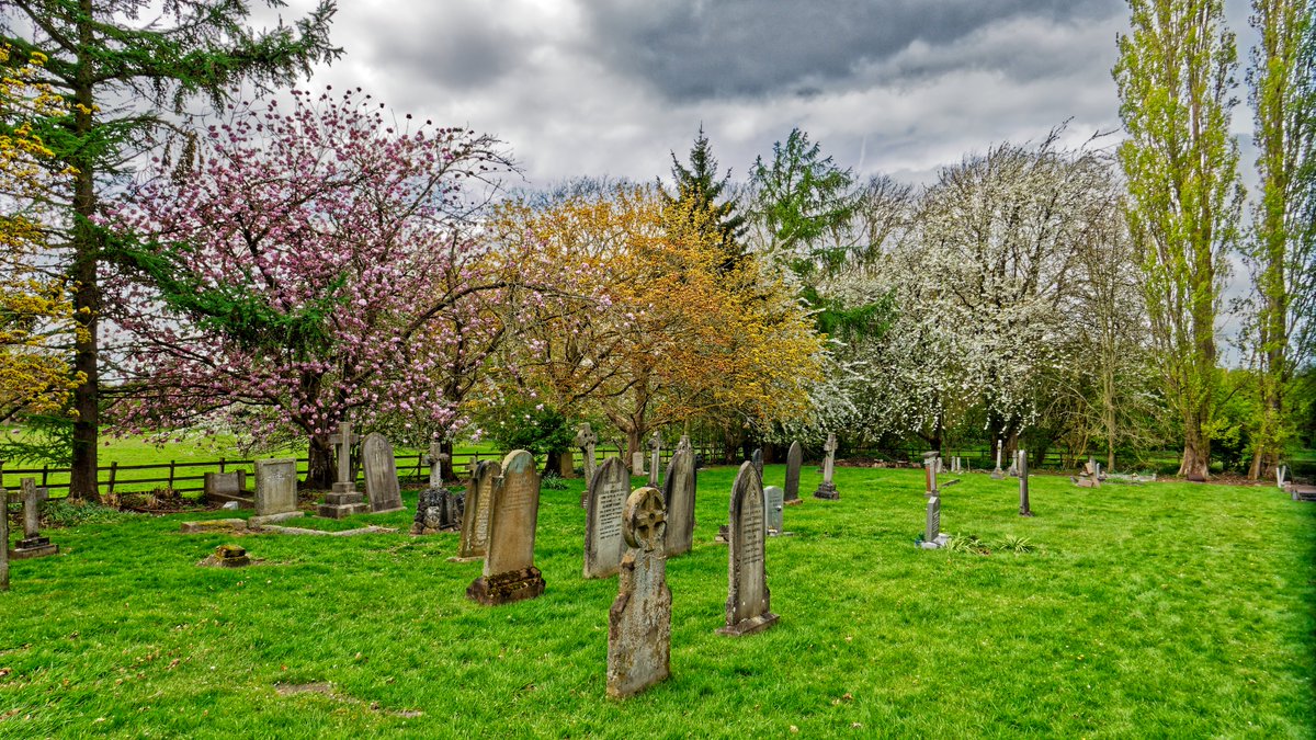 NHCTrust's tweet photo. Holme  Pierrepont Hall held an open day Sunday 14/4 to raise money for St  Edmund's Church next door to them. It's rarely open so I popped down to  get some pics. To start with, here are some photos outside, including  some Spring blossom in the graveyard https://t.co/SUB4JdAY6F