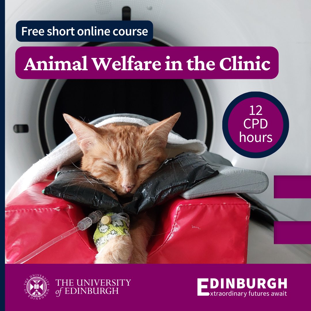 Are you a vet, vet nurse, student, or animal care assistant? 🐱🐶 Learn how to support animal welfare at every stage of the clinical visit - from transportation, waiting area, examination, operating room, and recovery. edin.ac/3vQQwjC #WorldVeterinaryDay #WorldVetDay