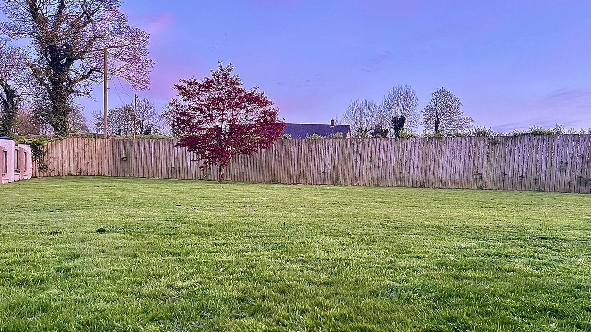 Another happy customer! 🪴 😊 When you get a message from a customer at 6pm Sunday ‘Grass is long again’ and you arrive at 7.30pm. This summer I’ve have it like Wembley! Treated like my own, the way it should be! What a lovely evening it was! DM. #gardening #GrassCutting