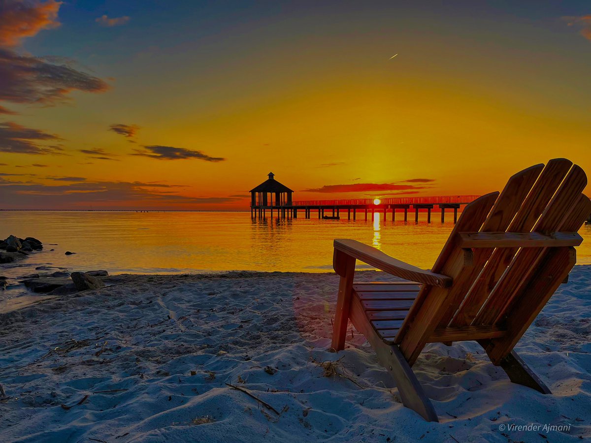 #HappyEarthDay2024 Nature’s enduring beauty - #fontainebleaustatepark #mandeville #louisiana #visitthenorthshore