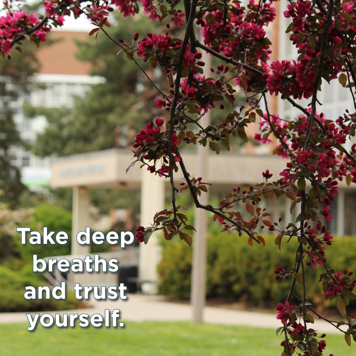 lymanbriggs's tweet photo. This finals week, trust yourself.
Campus is gorgeous at this time of year. Spending time in nature can give you a fresh perspective when you need it.
#LBCMSU #Briggsies #SpartansWill https://t.co/phrTfrhrRJ