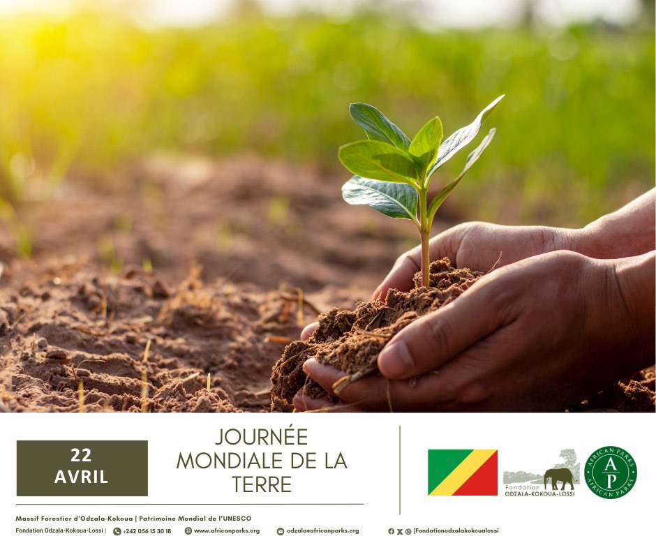 Célébrons avec la Journée internationale de la Terre! 🌏🌳🌱
<a href="/AfricanParks/">African Parks</a> #EarthDay2024 <a href="/EarthDay/">EARTHDAY.ORG</a> #fondationodzalakokoualossi

Cliquez : instagram.com/p/C6EJUYitRB6/…