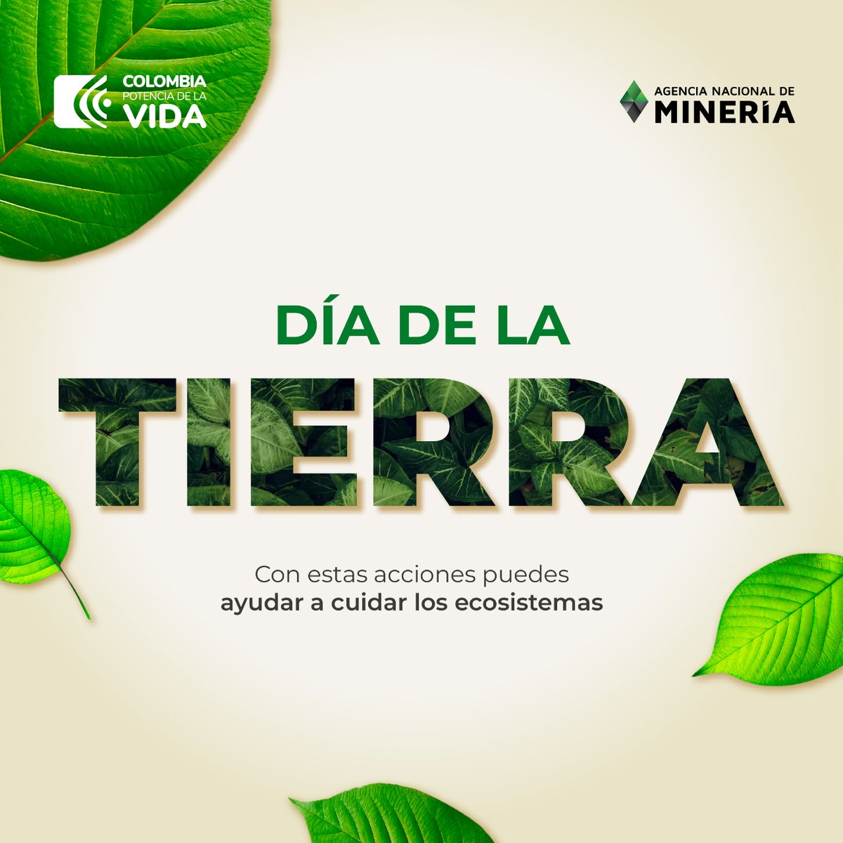 ANMColombia's tweet photo. En el #DíaDeLaTierra te contamos algunas acciones para proteger el medioambiente, ayúdanos a ponerlas en práctica en tu día a día para cuidar el planeta. 
Desde la ANM le apostamos a la #MineríaParaLaVida para hacer de la Tierra, nuestro hogar, un lugar mejor para todos. https://t.co/KAbO9KYcdH