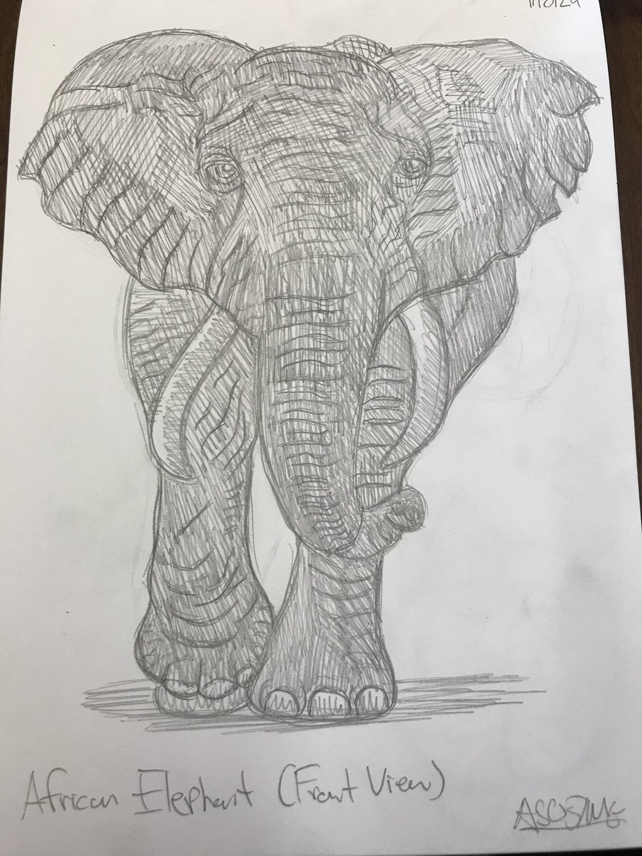 Since today’s Earth Day, I thought of wanting to share this African elephant sketch albeit in front view since elephants are my favorite animals.

❤️/🔄s are welcomed!

#ArtistOnTwitter #AnimalArt #AS05