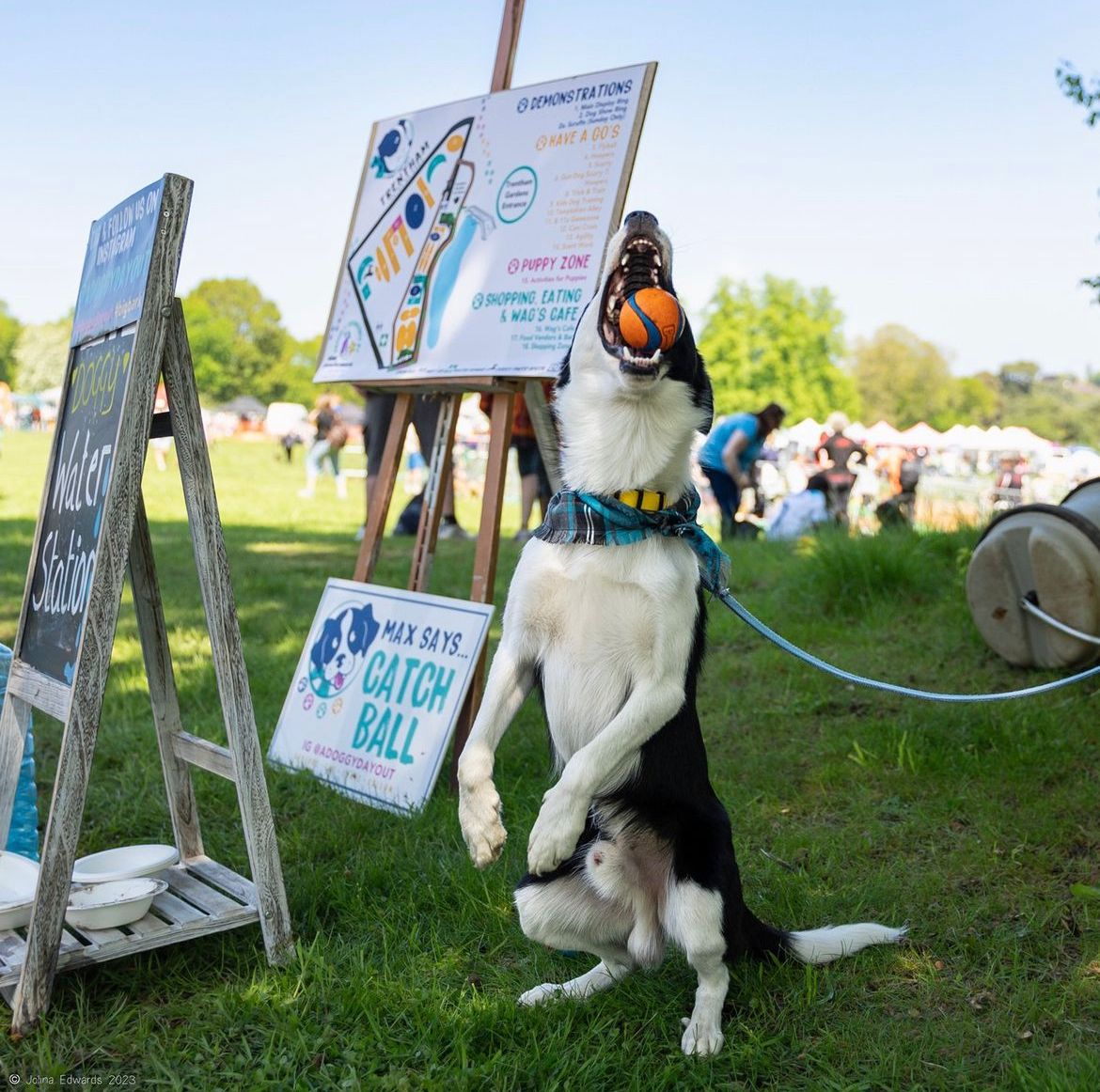 Attention all dog lovers & dog owners! 🐕🐩🐶 ⭐ The countdown is on to the Big Bark, and you won’t want to miss out ⭐ Secure your tickets to Big Bark for a day of agility, trade stands and more! 🎟️ Find out more➡️ loom.ly/TZPkCH4