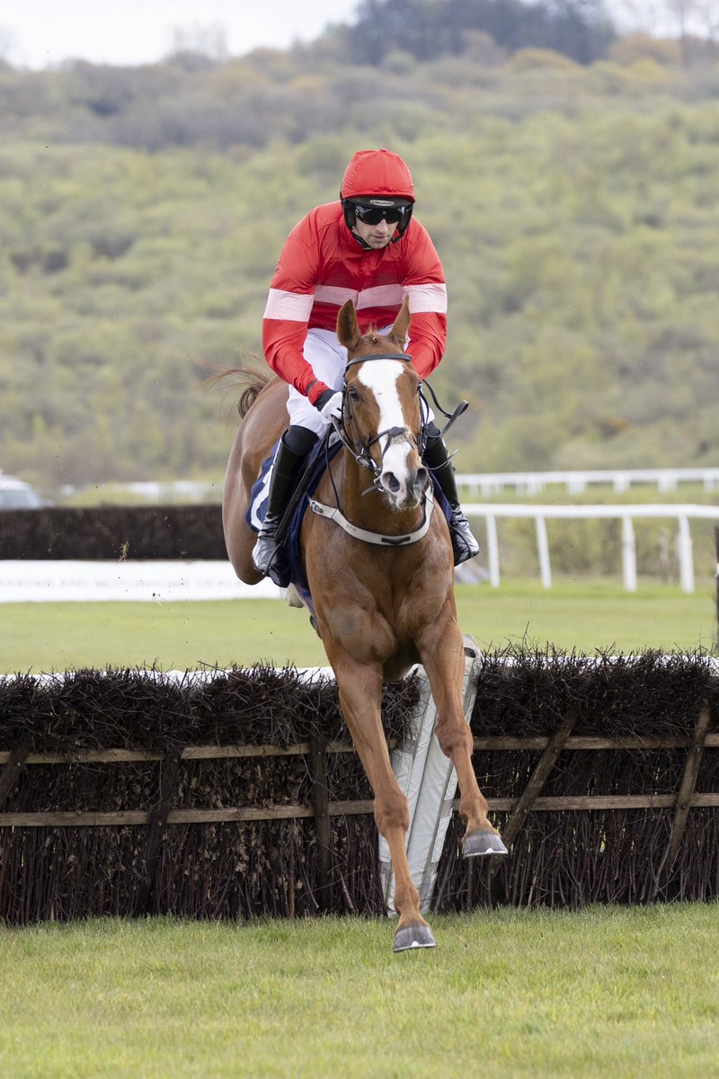 FfosLasRC's tweet photo. RACE 1 RESULT - @DragonbetWales Best Odds On Welsh Sport Novices' Hurdle (Class 4)

🥇 Rath Gaul Boy 2/9

Jockey: Patrick Mullins
Trainer: @WillieMullinsNH 
Owners: Sullivan Bloodstock Ltd &amp; Neill Hughes &amp; P Crowley https://t.co/YBHdskXshC