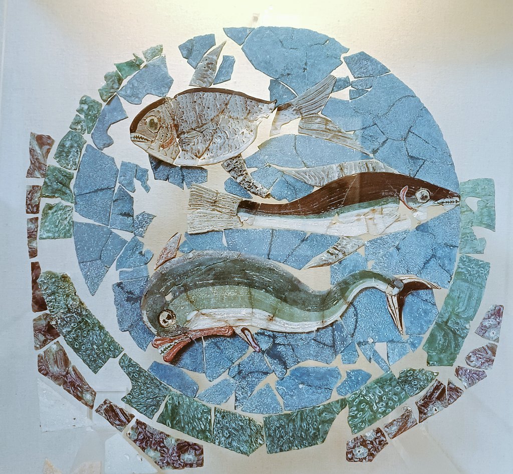 #MosaicMonday Glass opus sectile depicting sea life. From the Domus of the Surgeon, on display in the archaeological section of the City Museum of Rimini.