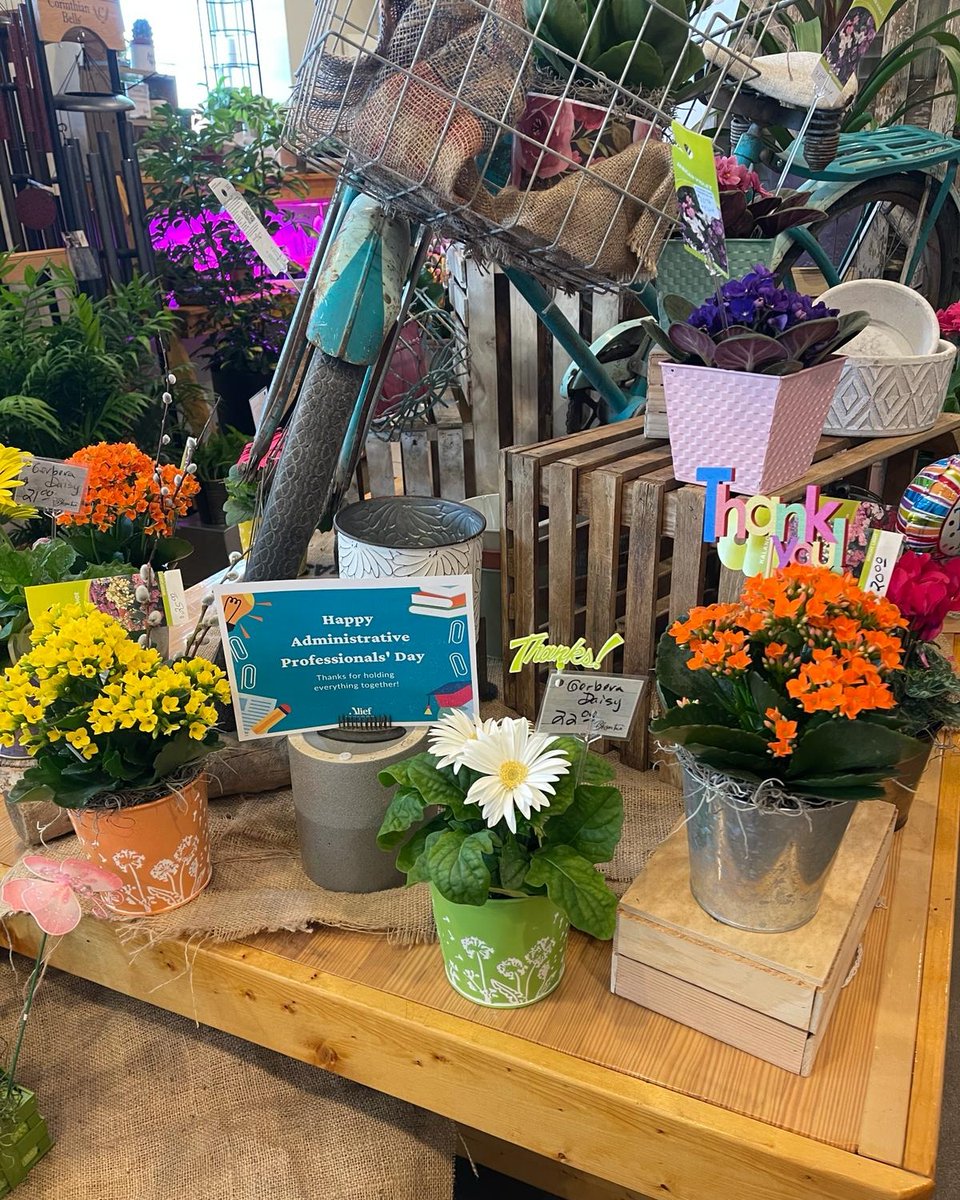 Blossom Town tweet media