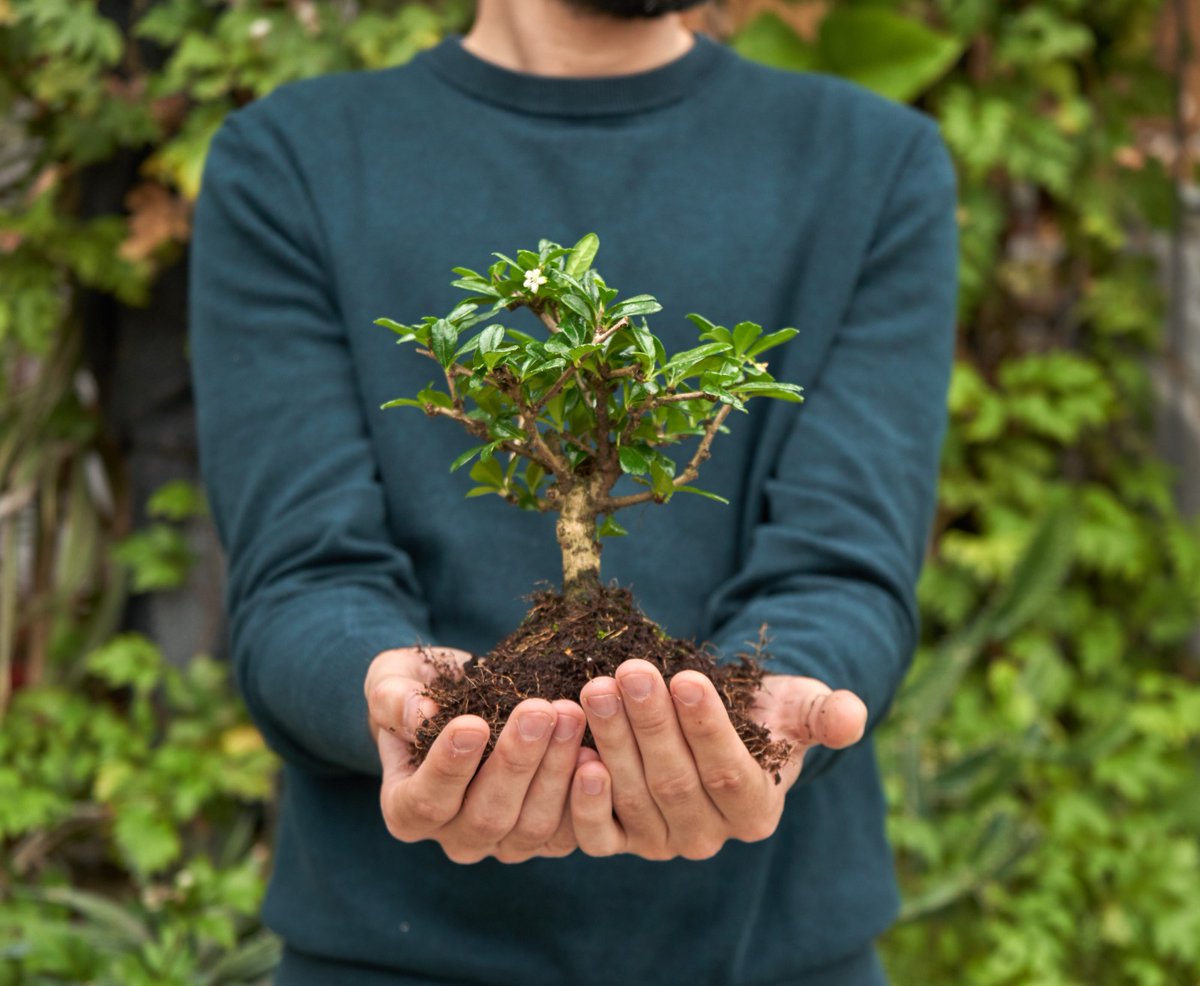 En el Día de la Tierra, queremos compartir nuestro compromiso con el medio ambiente. En Mistral Bonsai, la sostenibilidad es más que una palabra: es una filosofía que guía cada paso que damos. Únete a nosotros en este viaje hacia la sostenibilidad. 🌍💚 #MistralBonsai