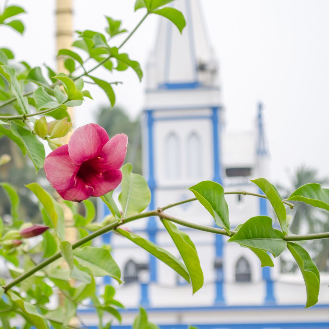 #EarthDay

🌍✨ Happy Earth Day from Pondicherry!🌱Let's celebrate our planet and pledge to protect its beauty for generations to come. Join us in making a difference today and every day.

#pondicherry #hotelauromaison #auromaison #tamilnadu #earthdayeveryday #greenery #flower