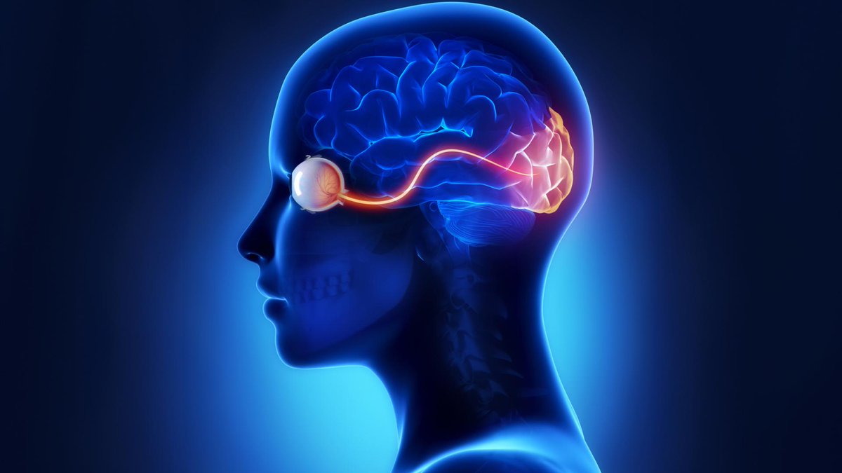 Sometimes an eyesight problem isn’t an eye problem—it might be the brain. @MayoClinic's Dr. Melissa Murray (@DrNeuroChic) breaks down PCA, an atypical form of Alzheimer’s that keeps a person from seeing the whole picture. Learn more: bit.ly/3U0POs1