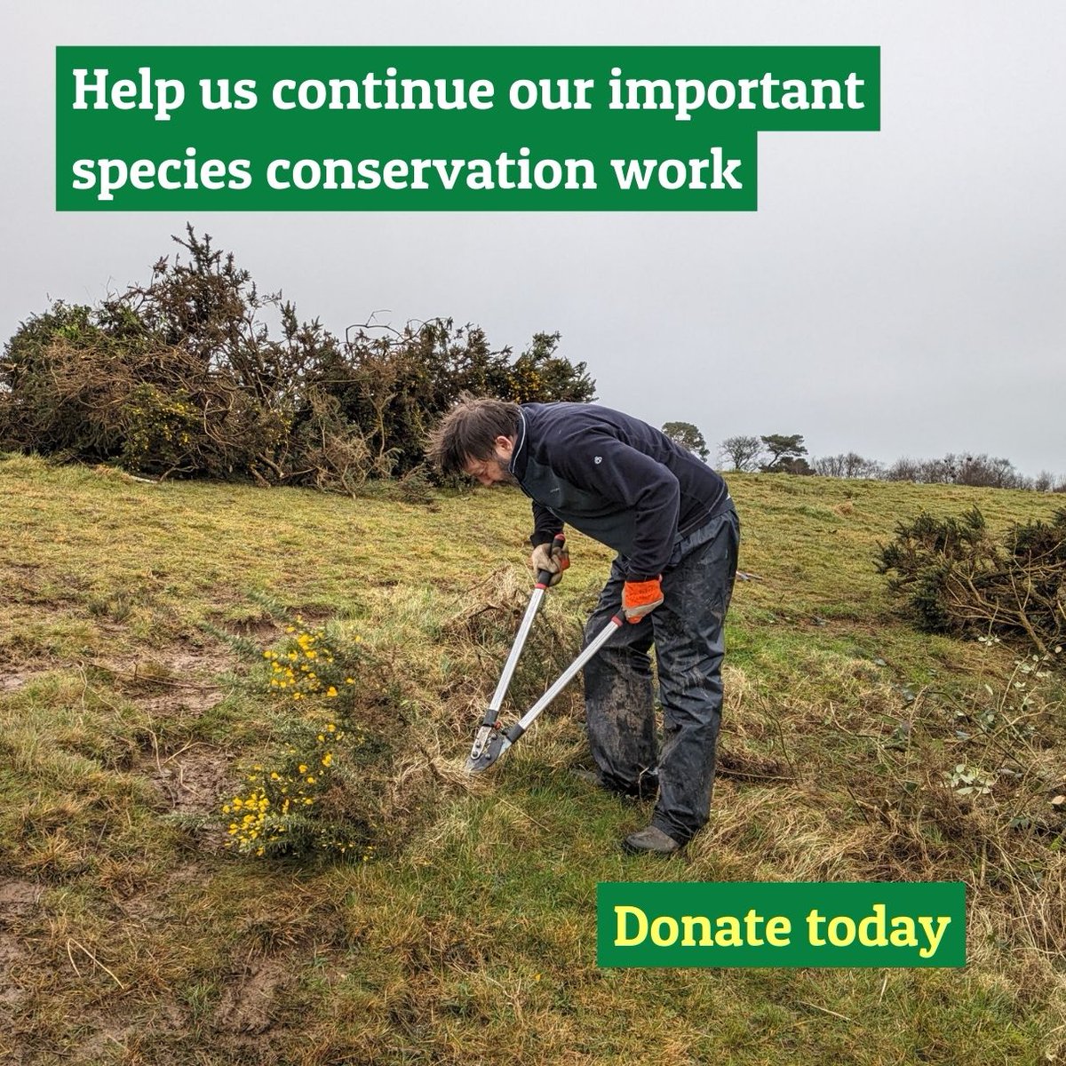 Can you help preserve our Botanical Treasures?🌱 🍄 Wild plants and fungi are the unsung heroes of our ecosystems. 📉 But, 45% of flowering plants are at risk of extinction and species are struggling Help us continue important species conservation work 👉 joinplantlife.org/3U4J79P