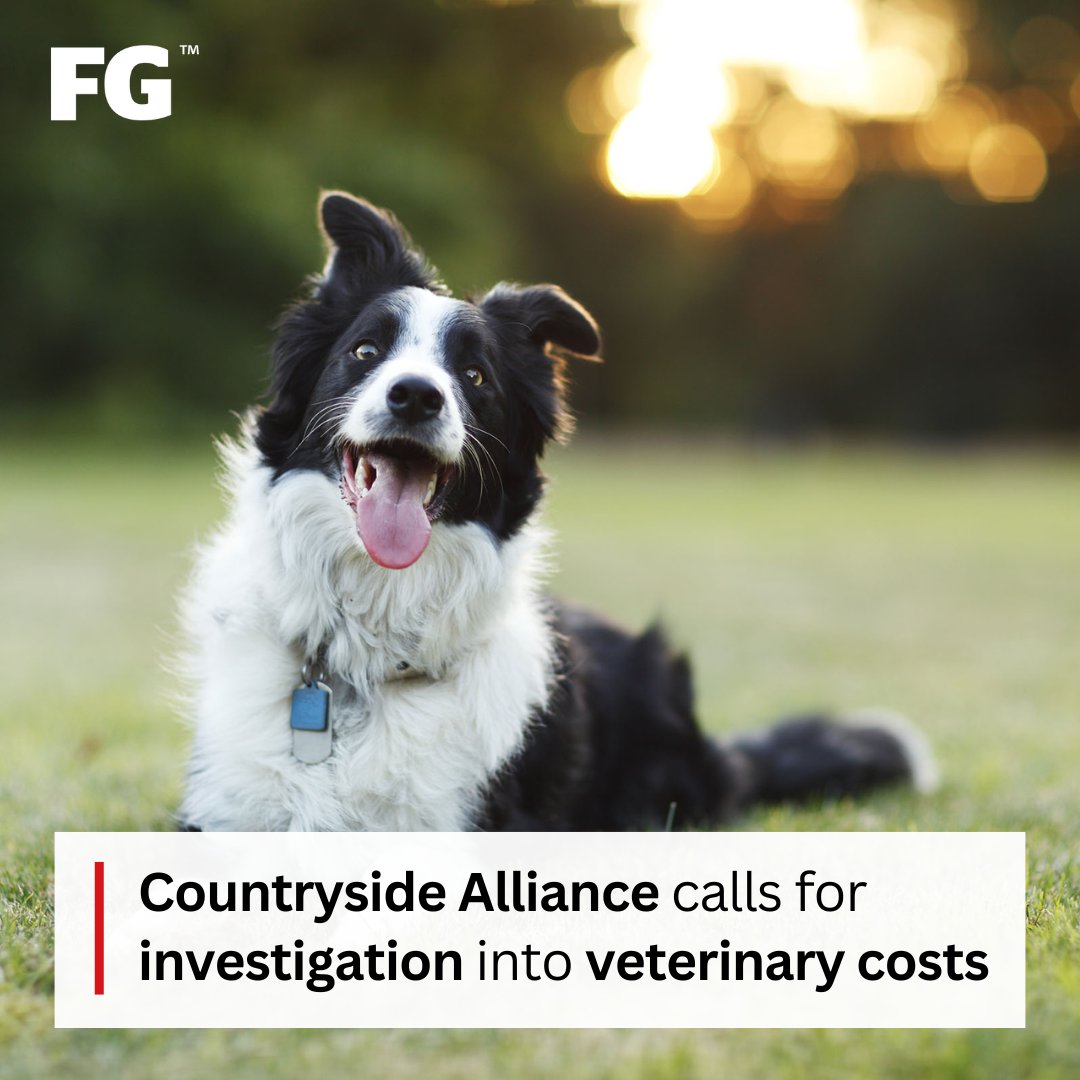 🐕 A market review of the veterinary sector identified pet owners are finding it difficult to access price lists and prescription costs, and are potentially overpaying for medicines. Not good if you're a farmer with working dogs on farm. Read ⬇️ farmersguardian.com/news/4199309/c… @CAupdates