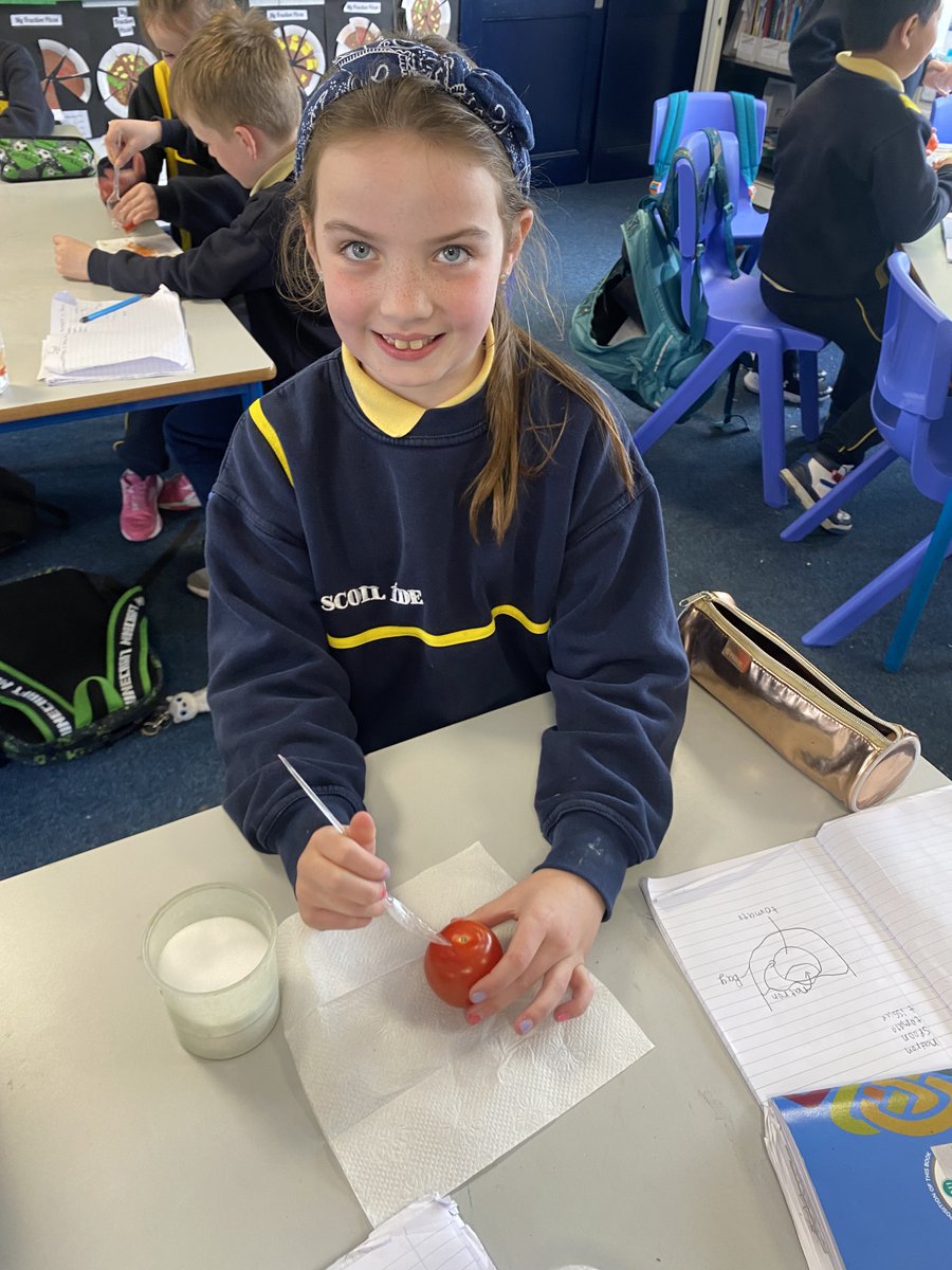 3rd class are learning all about Ancient Egypt this month. Room 18 learned about the process of mummification and they began mummifying tomatoes this afternoon.