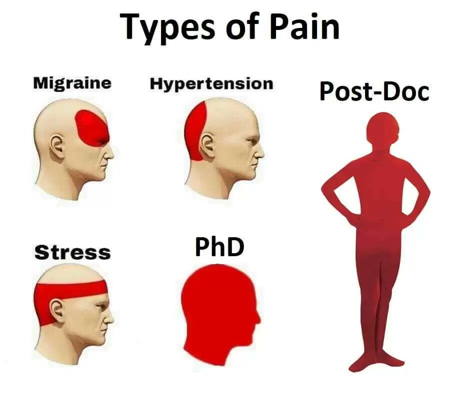 Faculties cannot find strong postdocs. Plus, new data shows a drop of postdoc applicants in the US. 

For example, in biomedical sciences:
- Drop by 3% in total
- Drop by 10% in U.S. citizens and permanent residents

Unsurprisingly, this coincides with a boom in biotech.

▫️