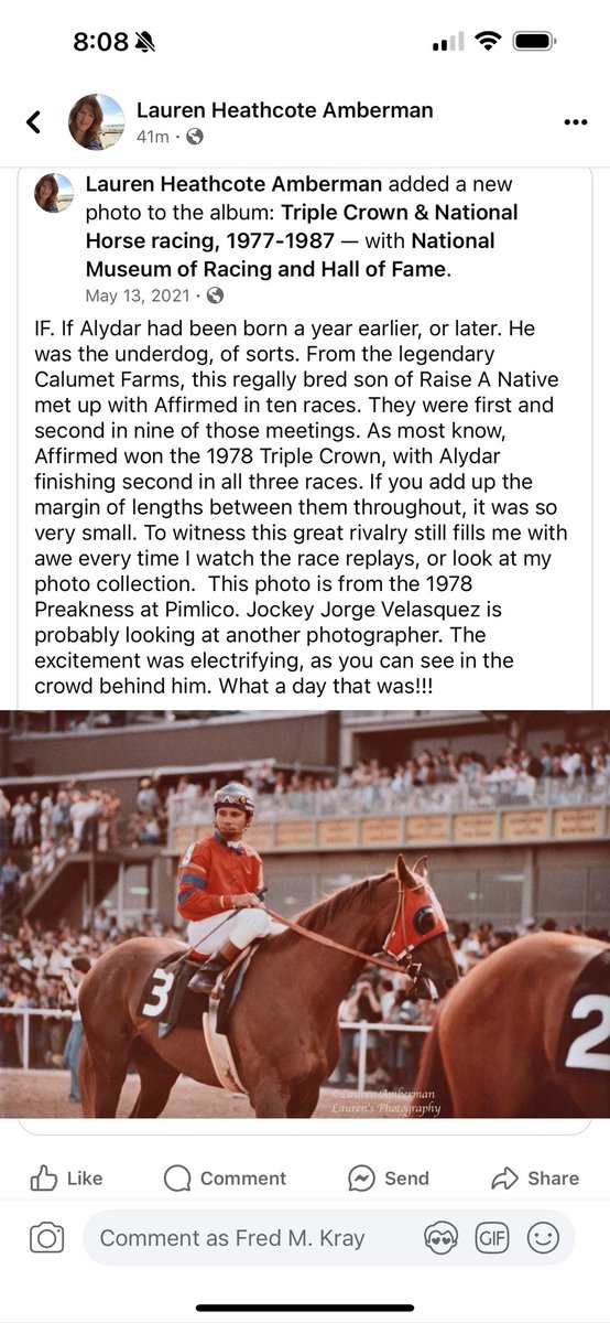 Alydar before the 1978 Preakness Stakes. Never before seen picture from Lauren Amberman.