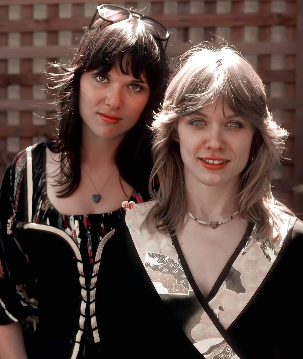 ⚡️#Heart | Old School Cool 
❤️#AnnWilson #NancyWilson 
🎨reddit