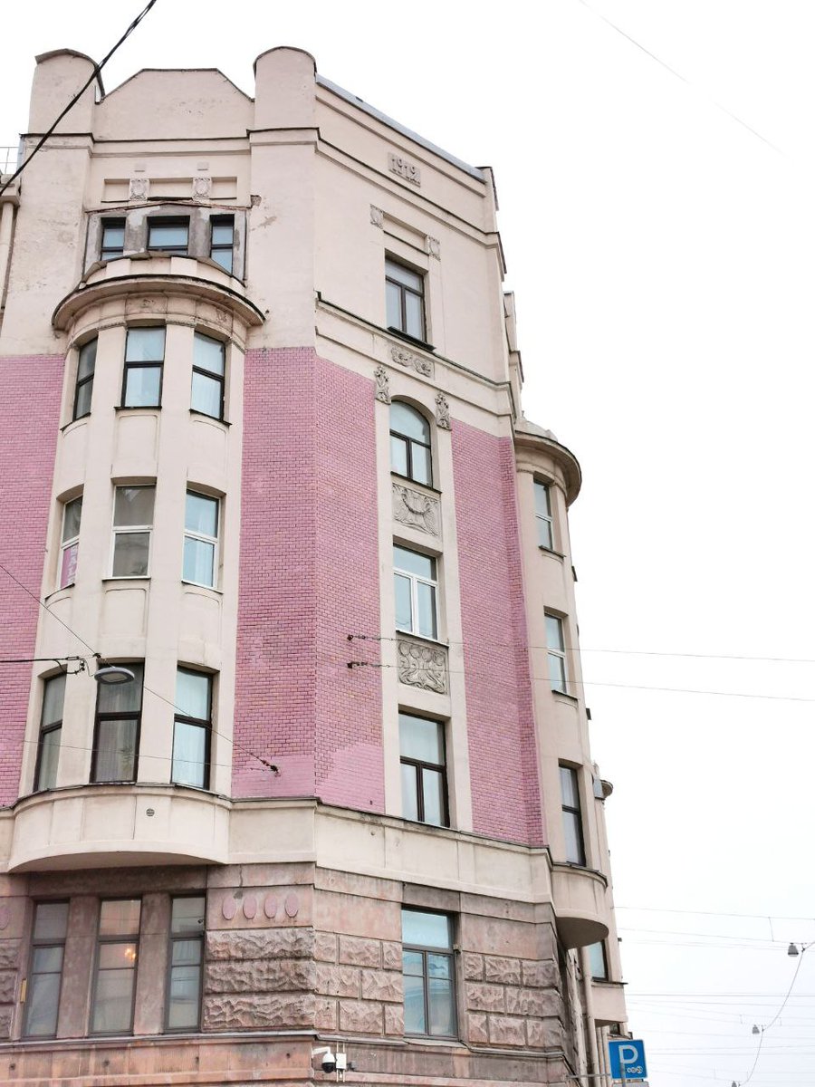 Wild_SPb's tweet photo. Питерского барбикора вам в ленту https://t.co/TR13jKesRd