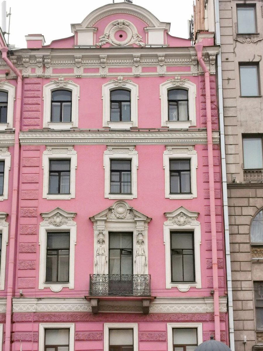 Wild_SPb's tweet photo. Питерского барбикора вам в ленту https://t.co/TR13jKesRd