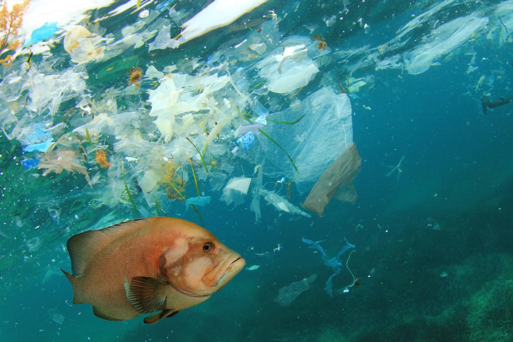 The weight of plastic entering oceans could reach 53 million metric tons per year by 2030— about half the weight of fish caught annually! This #EarthDay, learn about the Trash Free Waters program and how you can help keep trash out of waterways. epa.gov/trash-free-wat…