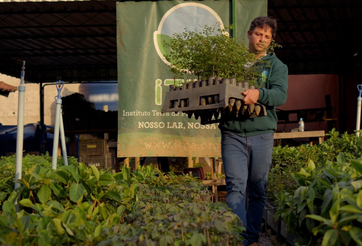 🌎 Celebrate #EarthDay with the latest episode of WILD HOPE, the inspiring documentary series from <a href="/TangledBankHHMI/">Tangled Bank Studios</a>.

🎬 Watch WILD HOPE: Rebuild a Forest online today: hhmi.news/3W4T5t6 🌱