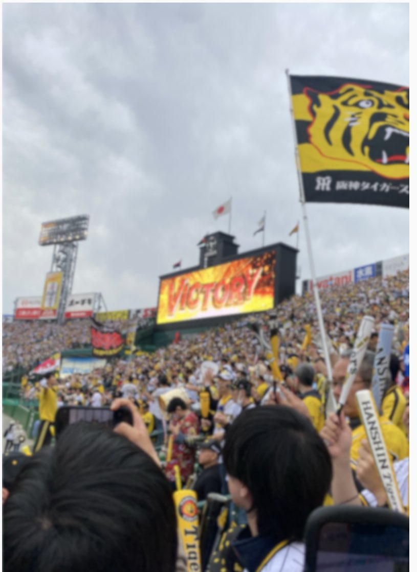 阪神ファンのお友達欲しいので仲良くしてください〜🐯🔥

大阪/92,/#5

 #Twitter上にいる阪神ファン全員と繋がるのが密かな夢だったりするのでとりあえずこれを見た阪神ファンはRTいいねフォローしていただけると全力でフォローしに行きます
 #阪神タイガースファンと繋がりたい  #Tigers  #hanshin