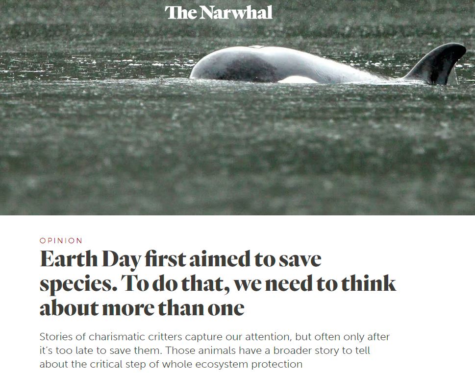 'The tendency to pursue laws protecting one species at a time has proved both cumbersome & ineffective. We need 'whole ecosystem protection,' @s_guilbeault, especially at #OntarioPlace, #Greenbelt & #StopThe413. Reminder, 🇨🇦 hosted U.N. Convention on Biological Diversity in 2022.