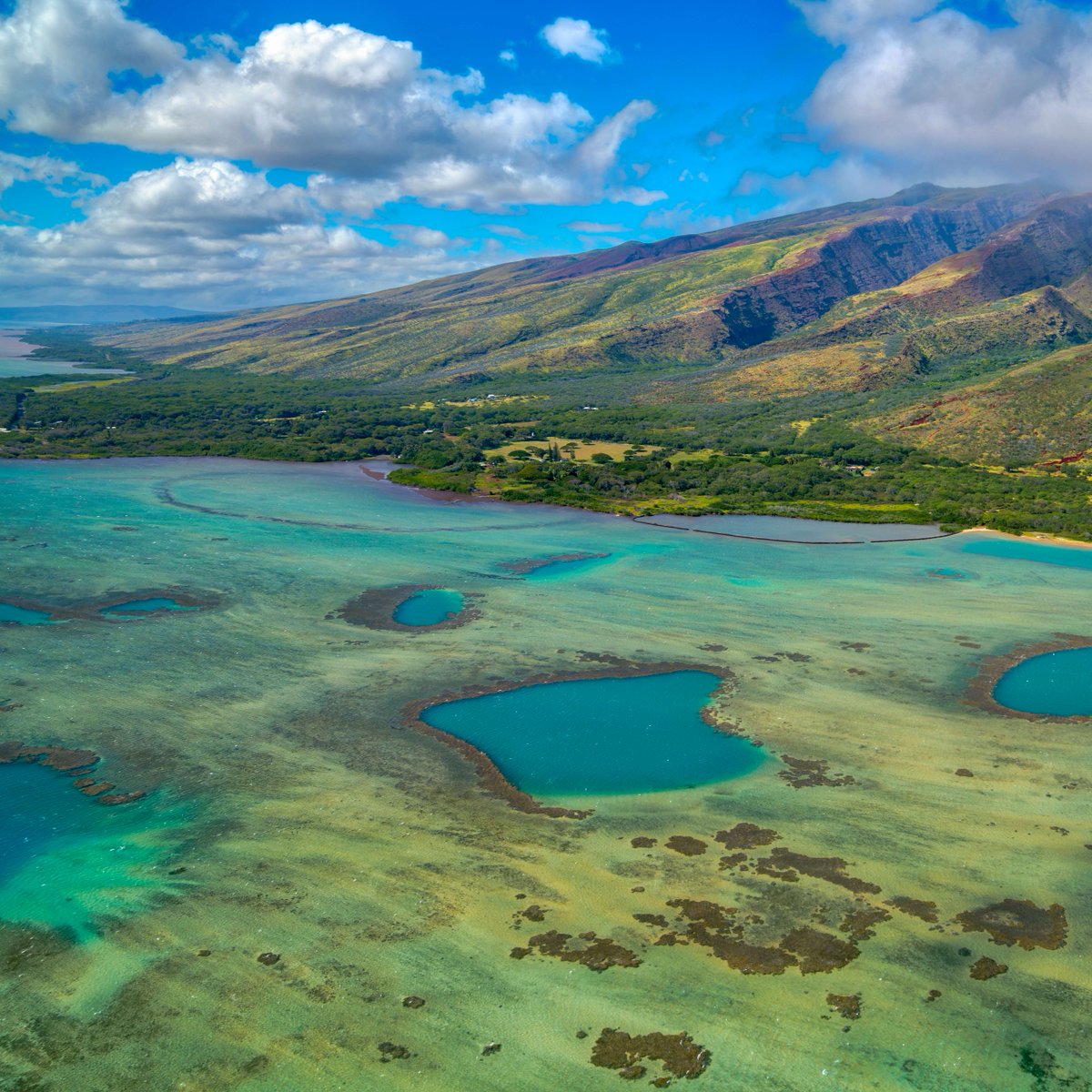 Celebrating Earth Day amidst the majestic sea cliffs and time-honored fish ponds of Molokai, Hawaii! 💚🌎 #EarthDay