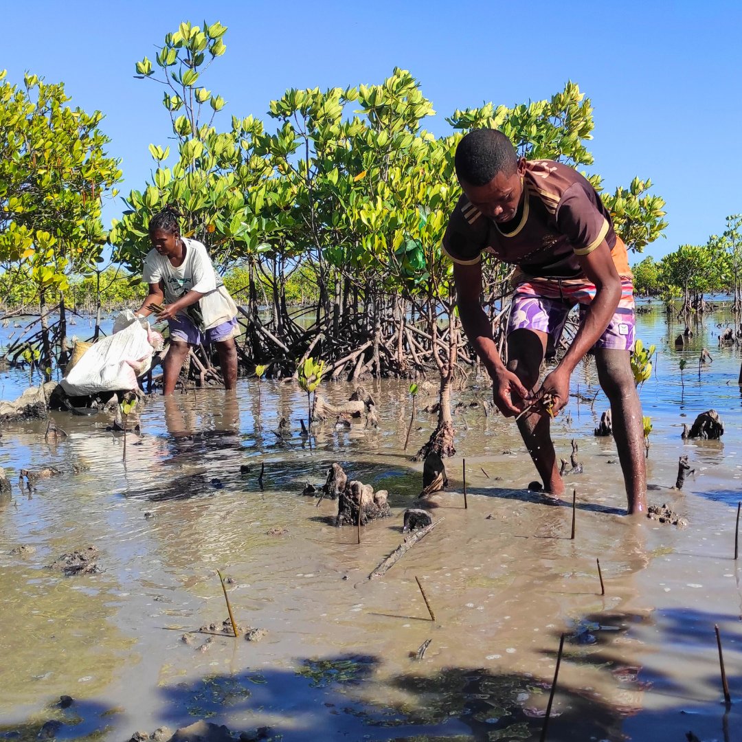 Today, as we celebrate Earth Day, we reflect on the importance of restoring and conserving our planet’s vital ecosystems. 

Join us to make a difference. Together, we can foster a thriving future for people and the planet. 

Give today: give.edenprojects.org/give/574905/#!…