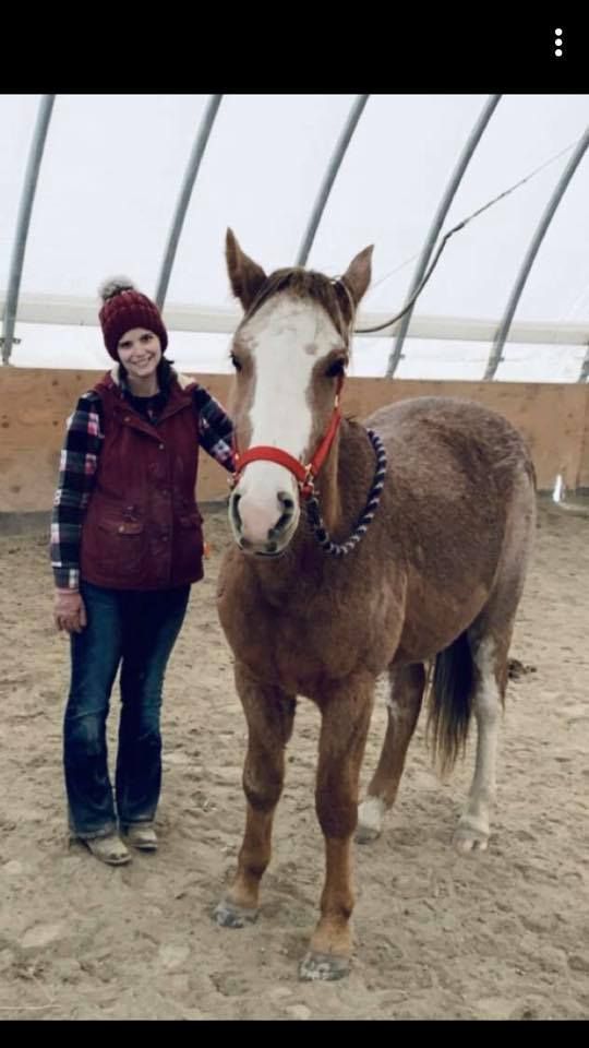 MCM is this cutie posing with his mom!
#SES #SilverEagleStable #MCM #ManCrushMonday #StrawberryRoan #Mustang #Horses #BarnLife