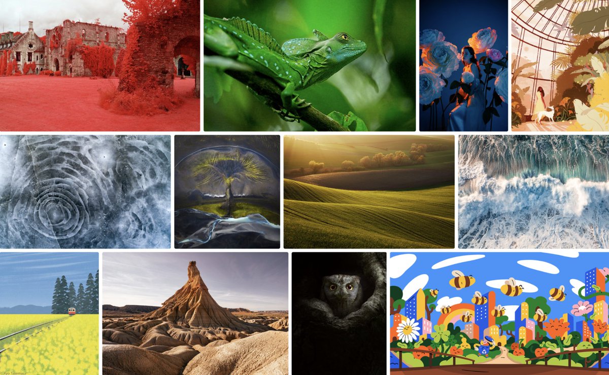 Happy #EarthDay! See how Behance artists find inspiration in nature's wonders and how they're using their art to raise awareness about conservation 🌱 adobe.ly/49J86Ee