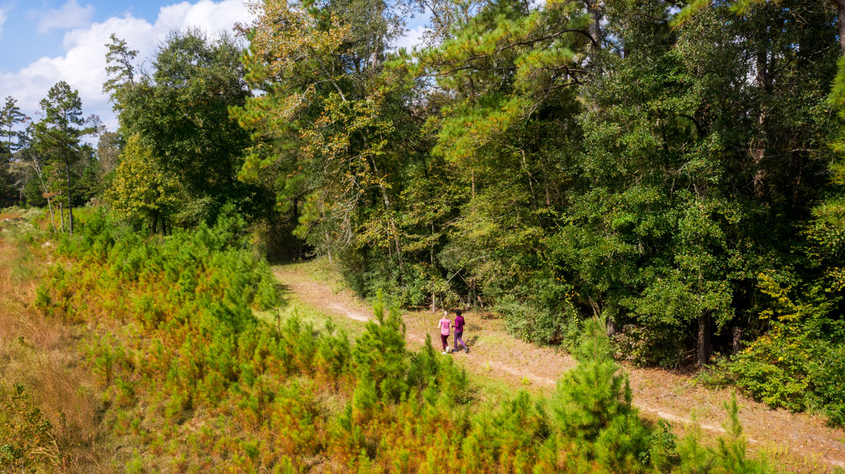 Happy Earth Day! 🌎 From the 7,665 acres of green space & forest preserves to the 151 parks & 220 miles of hike-and-bike trails, nature is all around you here. From the very beginning, sustainability has been a core value embedded in the overall strategy of The Woodlands.
