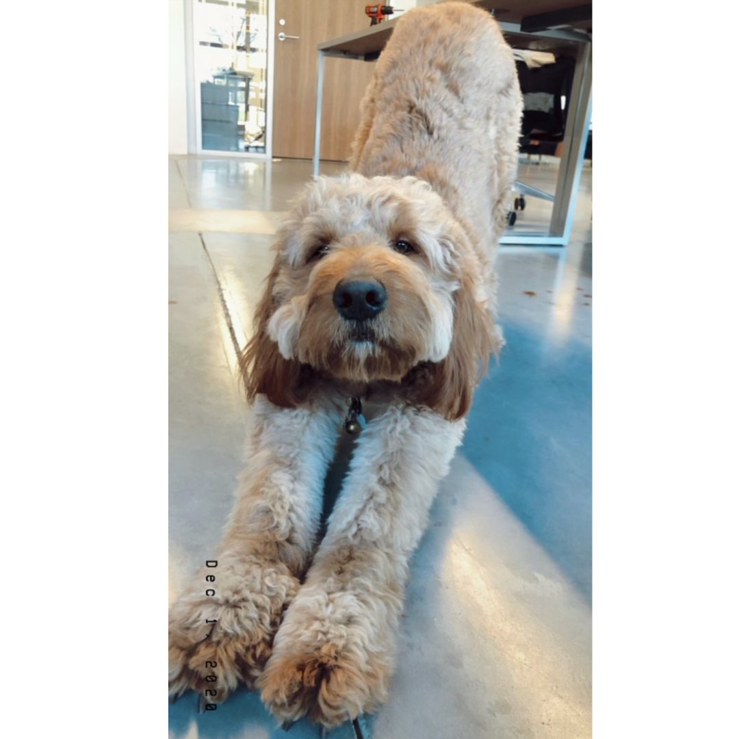 Ellie - The Pill Box With Brains & Beauty tweet media