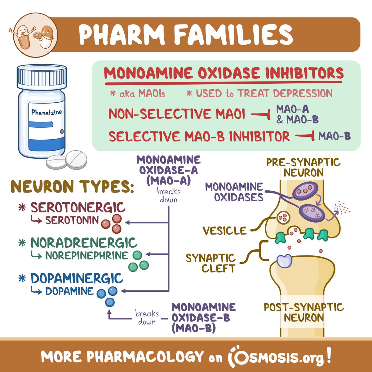 Today's #PharmFamilies is on monoamine oxidase inhibitors (MAOIs), a class of medications used in the treatment of #depression. Learn more: osms.it/pharm-maois-tw #LearnByOsmosis