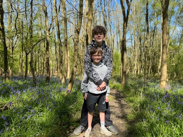 BLADON WOODS
Free to visit and with the most wonderfully thick carpet of bluebells and small paths meandering through.  Find out more here oxfordshire.redkitedays.co.uk/bladon-woods-b…
#Oxfordshire #Bluebells