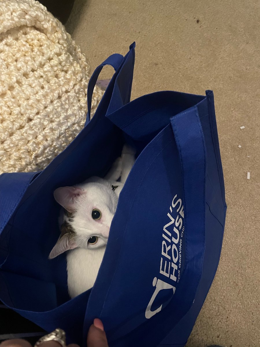 Erin's House tweet media