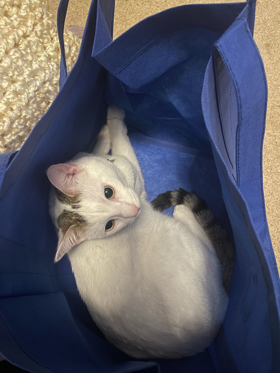 Erin's House tweet media